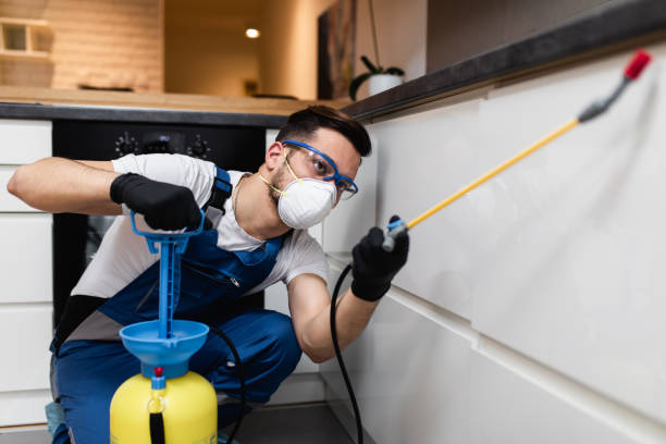 Best Affordable Pest Control Services  in Union, MS