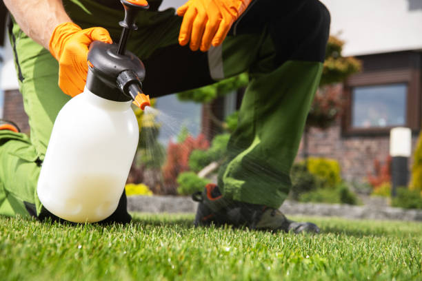 Best Pest Removal Services  in Union, MS