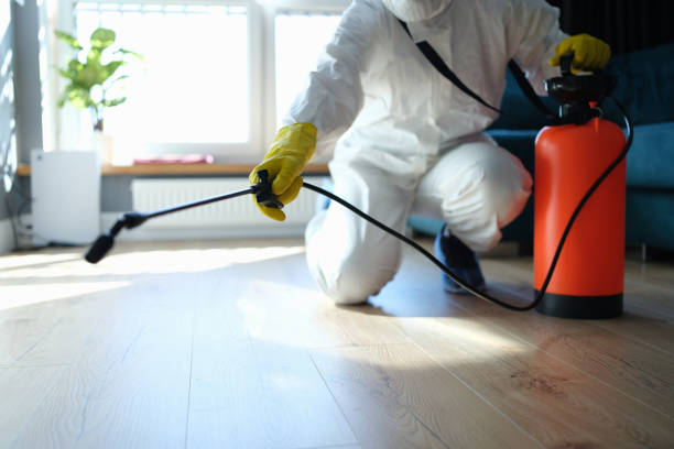 Best Emergency Pest Control  in Union, MS