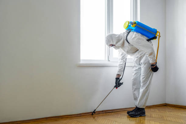 Best Exterminator Services  in Union, MS