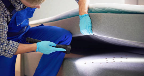 Best Wasp Removal Services  in Union, MS