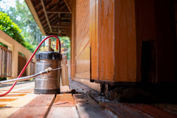 Best Affordable Exterminators  in Union, MS