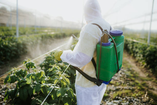 Best Exterminator Services  in Union, MS